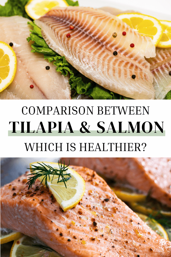 Tilapia vs Salmon Comparison Nutritional Differences